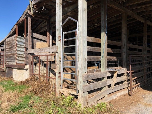 Image for Chesnee, SC Livestock Market - Online Only