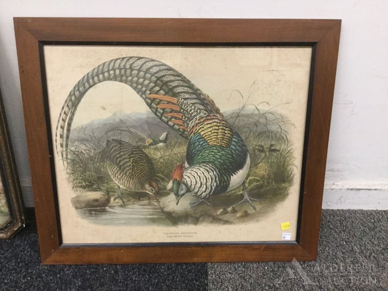 Image for Discovery Art Auction: 12-11-19