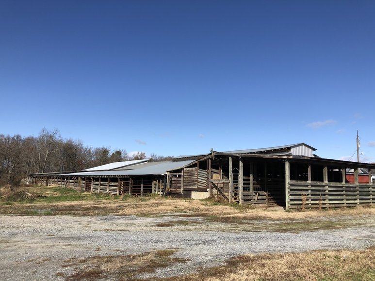 Image for Chesnee, SC Livestock Market - Online Only