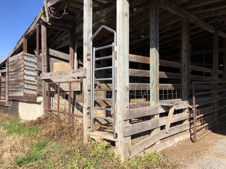 Image for Chesnee, SC Livestock Market - Online Only