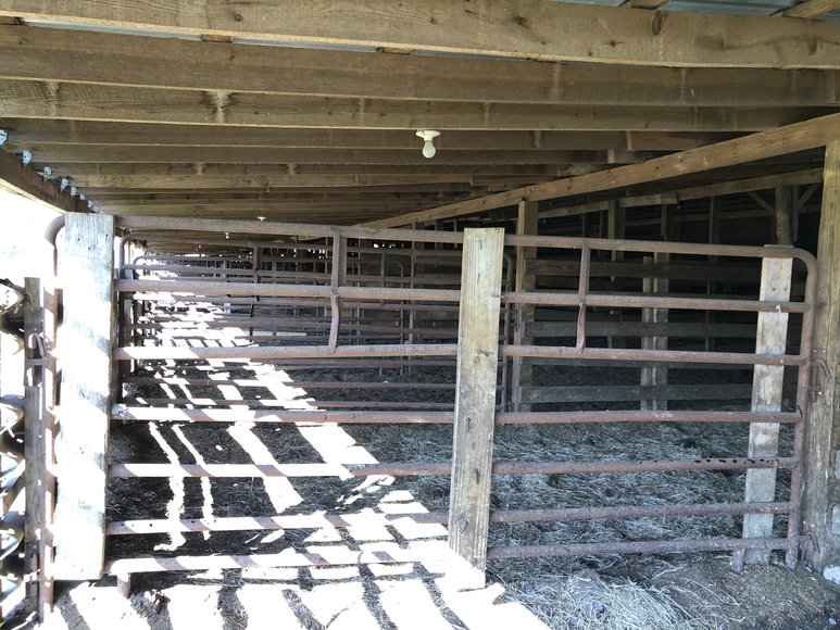 Image for Chesnee, SC Livestock Market - Online Only