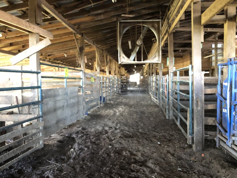 Image for Chesnee, SC Livestock Market - Online Only