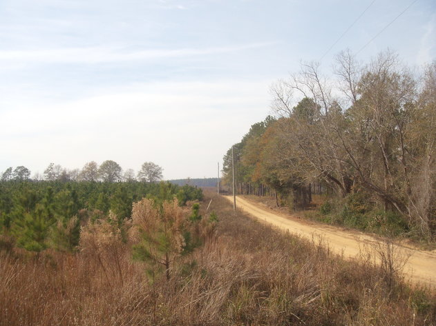 Image for LIVE AUCTION - January 16, 2020