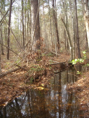 Image for LIVE AUCTION - January 16, 2020