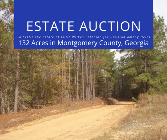 Image for LIVE AUCTION - January 16, 2020