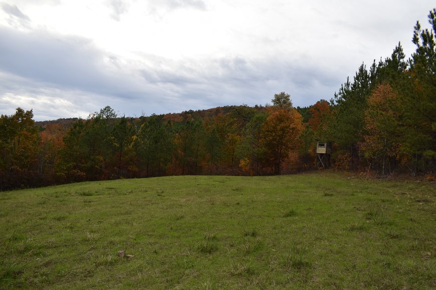 Image for 615± Acres - Shoal Creek Valley (Ashville), Alabama