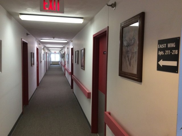 Image for USDA  ORDERED AUCTION - Online Only Auction