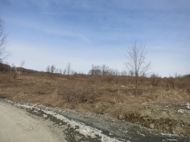 Image for Bankruptcy Auction - By Order of the Court