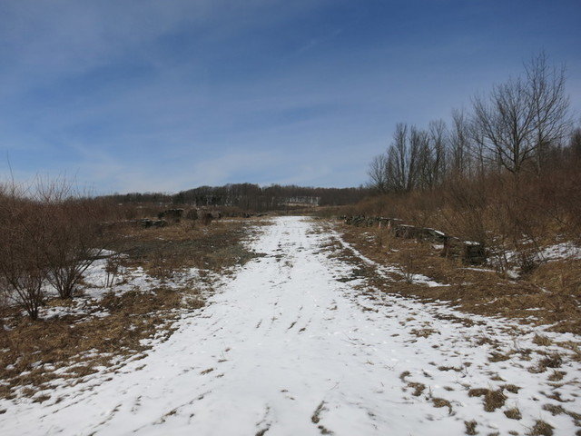 Image for Bankruptcy Auction - By Order of the Court