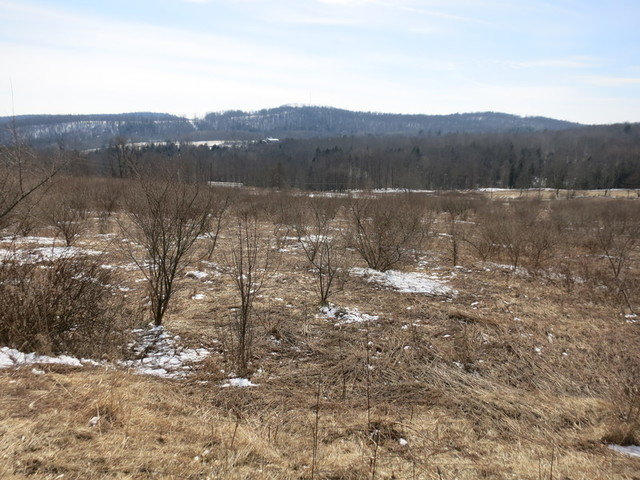 Image for Bankruptcy Auction - By Order of the Court