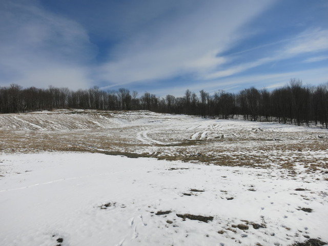 Image for Bankruptcy Auction - By Order of the Court