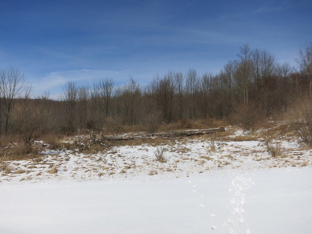 Image for Bankruptcy Auction - By Order of the Court