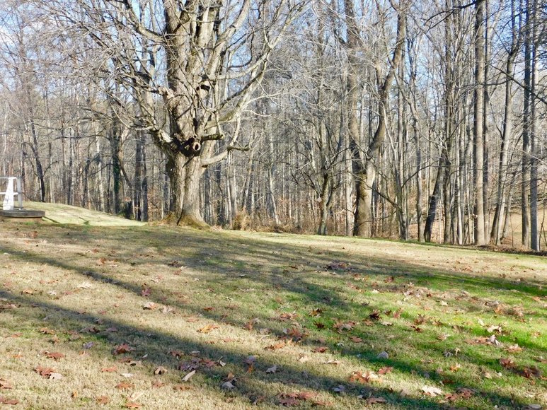 Image for 2 BR/1 BA Home on 1.4 +/- Acres in Madison County, VA--SELLING ABSOLUTE to the HIGHEST BIDDER!!