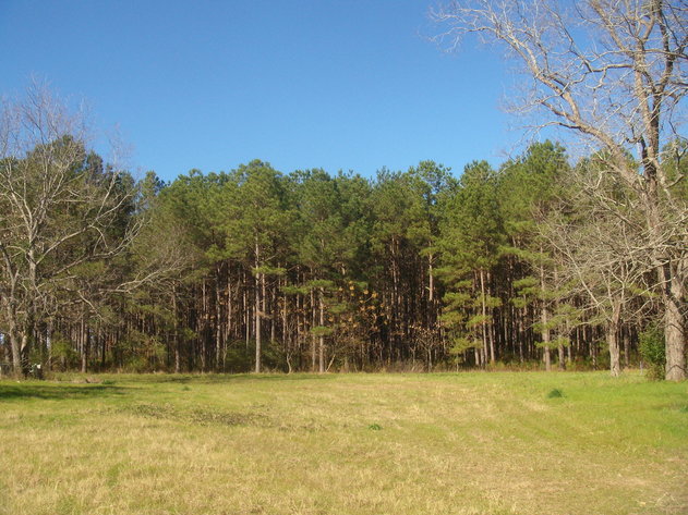 Image for LIVE AUCTION - January 25, 2020