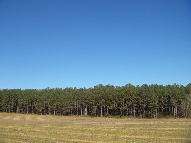 Image for LIVE AUCTION - January 25, 2020