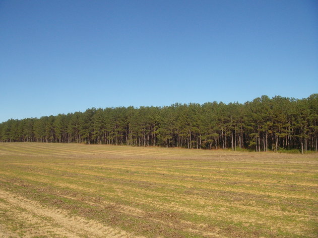 Image for LIVE AUCTION - January 25, 2020