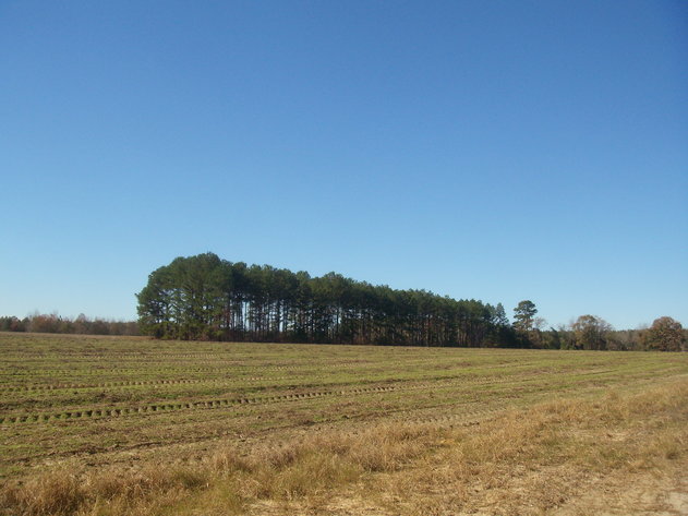 Image for LIVE AUCTION - January 25, 2020