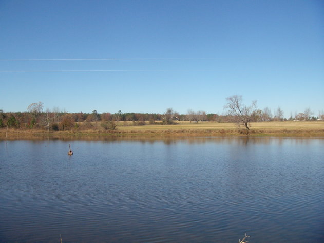 Image for LIVE AUCTION - January 25, 2020