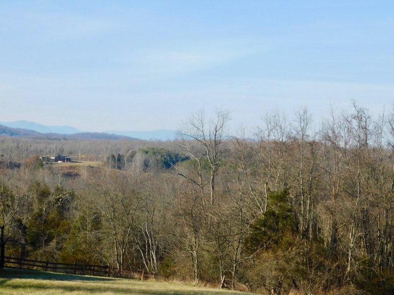 Image for Beautiful Country Estate on 38.9 +/- Acres in Culpeper County, VA