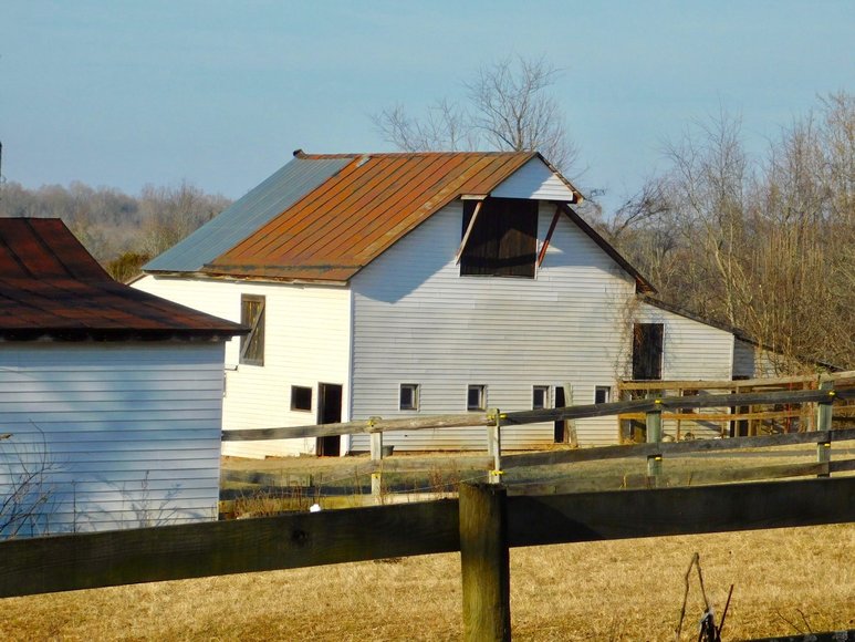 Image for Beautiful Country Estate on 38.9 +/- Acres in Culpeper County, VA