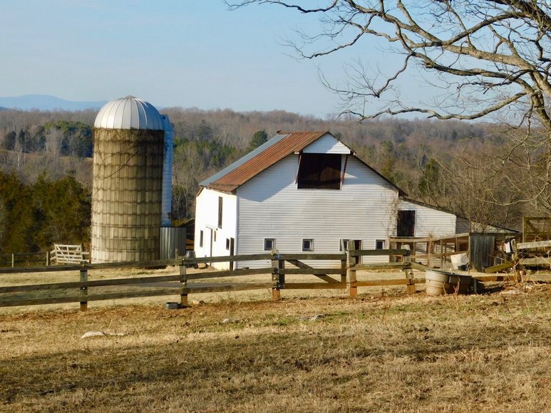 Image for Beautiful Country Estate on 38.9 +/- Acres in Culpeper County, VA