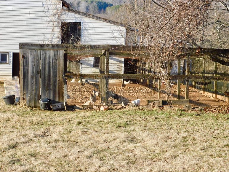 Image for Beautiful Country Estate on 38.9 +/- Acres in Culpeper County, VA