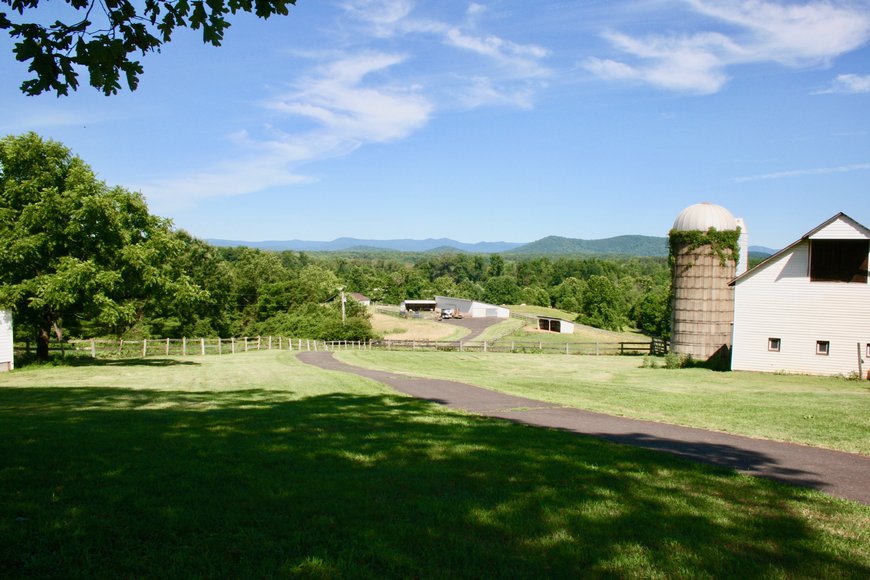 Image for Beautiful Country Estate on 38.9 +/- Acres in Culpeper County, VA