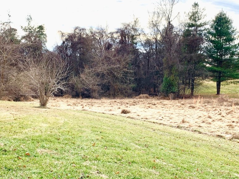 Image for 4 BR/3.5 BA Home on 1+ Acre Cul-de-Sac Lot in Roseberry--Minutes from Old Town Manassas