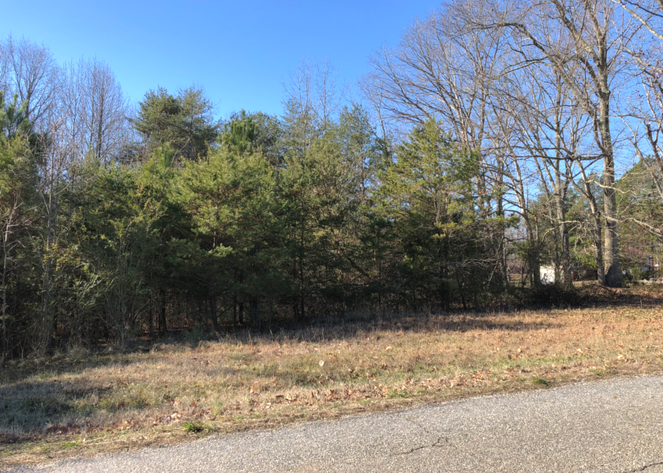 Image for Charlotte County, VA Judicial Sale of Tax Delinquent Real Estate