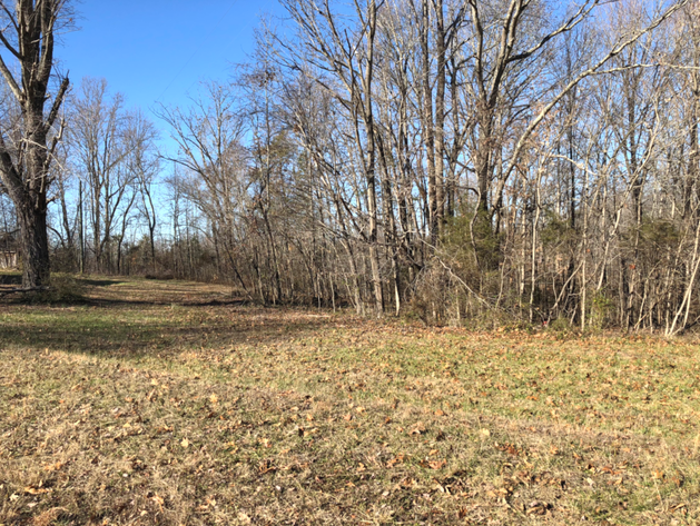 Image for Charlotte County, VA Non-Judicial Notice of Delinquent Taxes and Sale of Real Property