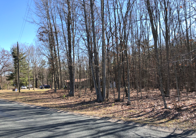 Image for Charlotte County, VA Non-Judicial Notice of Delinquent Taxes and Sale of Real Property