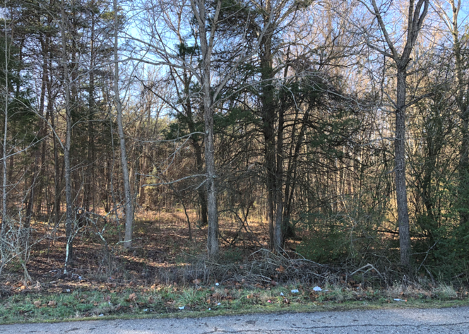 Image for Charlotte County, VA Non-Judicial Notice of Delinquent Taxes and Sale of Real Property