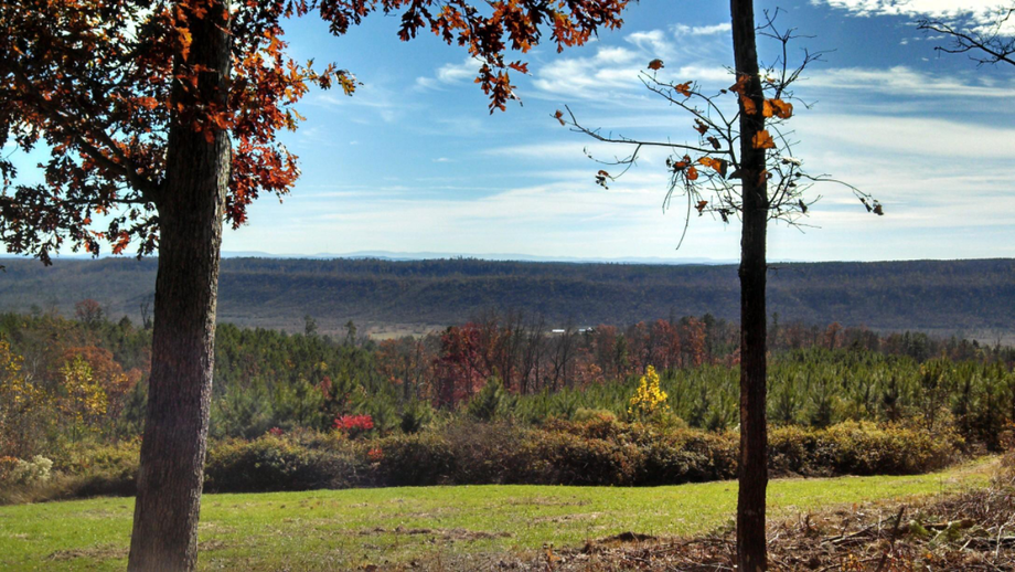 Image for 615± Acres - Shoal Creek Valley (Ashville), Alabama