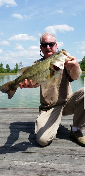 Image for 615± Acres - Shoal Creek Valley (Ashville), Alabama