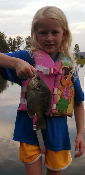 Image for 615± Acres - Shoal Creek Valley (Ashville), Alabama