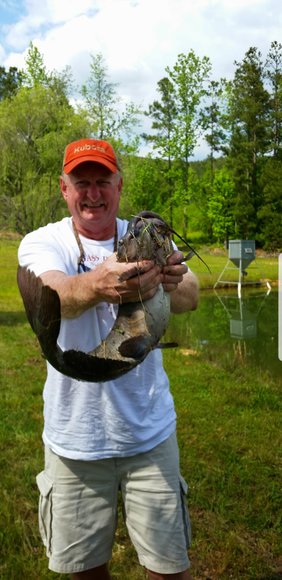 Image for 615± Acres - Shoal Creek Valley (Ashville), Alabama