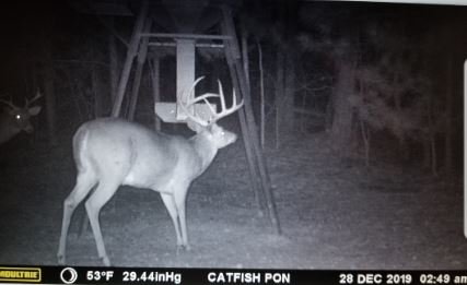 Image for 615± Acres - Shoal Creek Valley (Ashville), Alabama