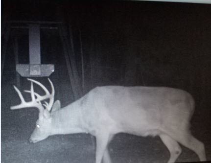 Image for 615± Acres - Shoal Creek Valley (Ashville), Alabama