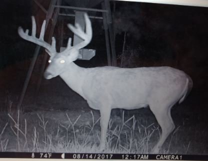 Image for 615± Acres - Shoal Creek Valley (Ashville), Alabama