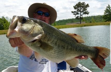 Image for 615± Acres - Shoal Creek Valley (Ashville), Alabama