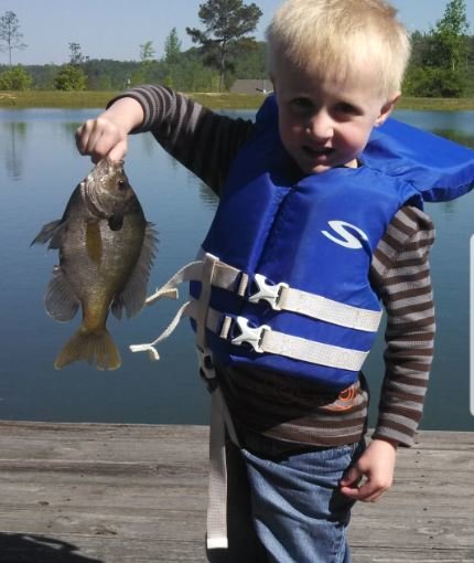 Image for 615± Acres - Shoal Creek Valley (Ashville), Alabama