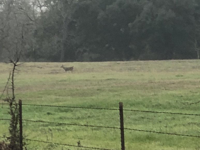 Image for 00 CR 430, Dime Box 77853 - Lee County