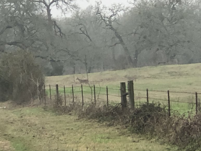 Image for 00 CR 430, Dime Box 77853 - Lee County