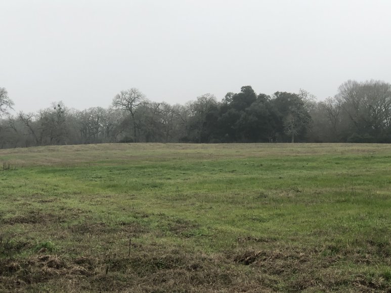 Image for 00 CR 430, Dime Box 77853 - Lee County