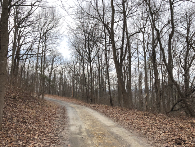 Image for Warren County, VA Tax Delinquent Sale of Real Estate