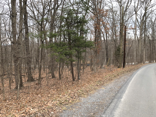 Image for Warren County, VA Tax Delinquent Sale of Real Estate