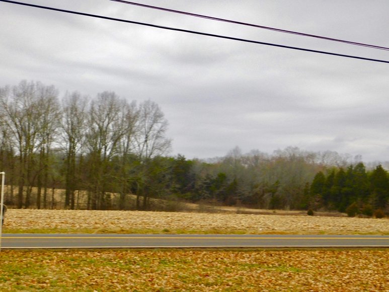 Image for 28.6 +/- Acres of Open Land w/Barn & Pond and Up to 3 Division Rights--Fauquier County, VA
