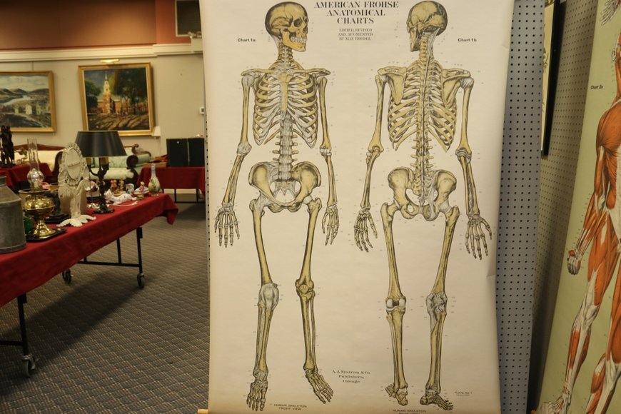 Image for Gallery Auction with Dolls | January 30, 2020 at 9:00 AM