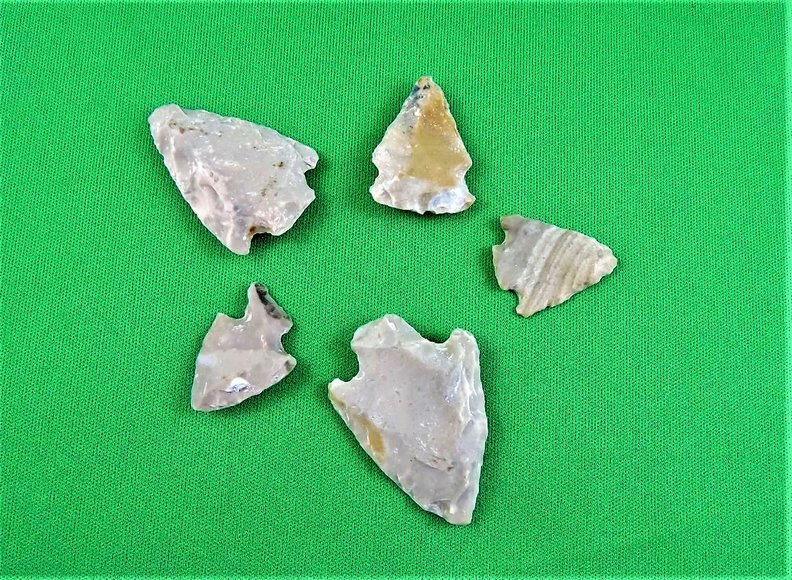 Image for Arrowhead Collector Clearance