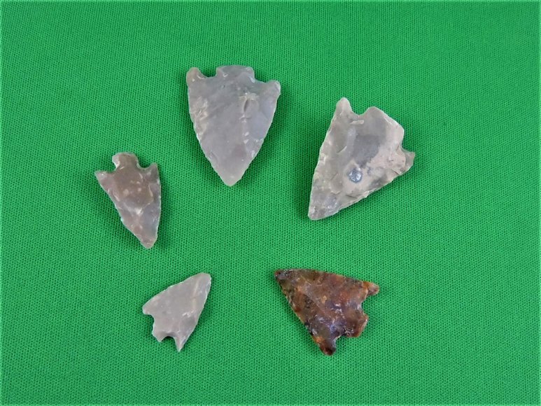 Image for Arrowhead Collector Clearance